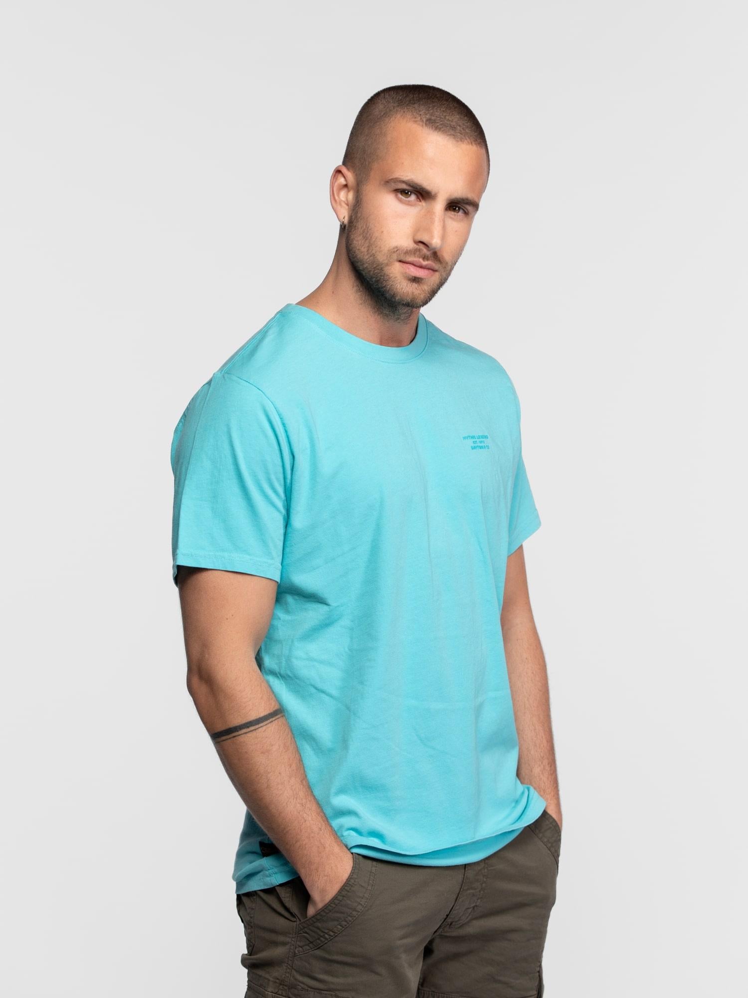 DAYTONA 73 T-shirt uomo Cedar girocollo azzurra 