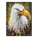 NOT PRINTED Camicia unisex American Eagle 