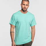 DAYTONA 73 T-shirt uomo Cedar girocollo mint 