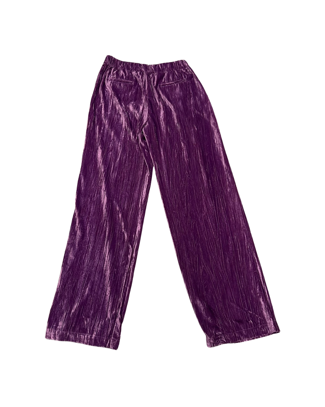 RE-HASH Pantaloni Donna in velluto Porpora 